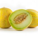 15 Seeds Lemon Drop Melon Garden Fruit Healthy Planting Summer Food Fast Growing