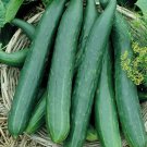 25 Seeds Long Green Improved Cucumber Planting Edible Food Garden Fast Growing 25 Seeds Long Green Improved Cucumber Planting Edible Food Garden Fast Growing