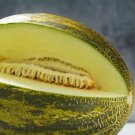 15 Seeds Piel De Sapo Melon Garden Fresh Fruit Healthy Planting Summer Food Fast Growing