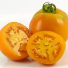 50 Seeds Amish Gold Slicer Tomato Heirloom Vegetable Tomatoe Garden Edible Fast Growing 50 Seeds Amish Gold Slicer Tomato Heirloom Vegetable Tomatoe Garden Edible Fast Growing