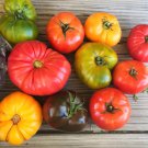 10 Rainbow Beefsteak Mix Tomato Seeds Heirloom Organic Non GMO Fast Growing 10 Rainbow Beefsteak Mix Tomato Seeds Heirloom Organic Non GMO Fast Growing