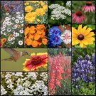 1000 Wildflower Mix Hummingbird Butterfly Seeds Perennials Annuals Heirloom Fast Growing 1000 Wildflower Mix Hummingbird Butterfly Seeds Perennials Annuals Heirloom Fast Growing