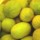 Crenshaw Melon Seeds 50 Cantaloupe Fruit Heirloom Non GMO Fast Growing Crenshaw Melon Seeds 50 Cantaloupe Fruit Heirloom Non GMO Fast Growing