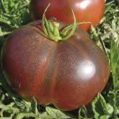 Black Krim Tomato Seeds 50 Ct Vegetable Garden Heirloom Non GMO Fast Growing Black Krim Tomato Seeds 50 Ct Vegetable Garden Heirloom Non GMO Fast Growing