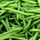 Kentucky Wonder Pole Bean Seeds 50 Ct Heirloom Vegetable Garden Non GMO Fast Growing Kentucky Wonder Pole Bean Seeds 50 Ct Heirloom Vegetable Garden Non GMO Fast Growing