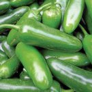 Jalapeno M Pepper Seeds 50 Hot Spicy Vegetable Non GMO Fast Growing Jalapeno M Pepper Seeds 50 Hot Spicy Vegetable Non GMO Fast Growing