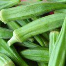 Okra Perkins Long Pod Seeds 30 Ct Vegetable Non GMO Heirloom Fast Growing