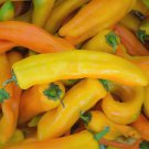 Corno Di Toro Giallo Pepper Seeds 30 Yellow Italian Sweet Rare Fast Growing Corno Di Toro Giallo Pepper Seeds 30 Yellow Italian Sweet Rare Fast Growing