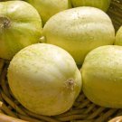 Crystal Apple Cucumber Seeds 20 Vegetable Garden Heirloom Non GMO Fast Growing Crystal Apple Cucumber Seeds 20 Vegetable Garden Heirloom Non GMO Fast Growing