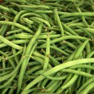 Kentucky Wonder Green Bush Bean Seeds 50 Ct Vegetable Garden Heirloom Non GMO Fast Growing