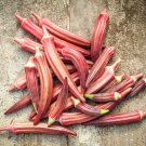 Okra Seeds Jing Orange 30 Ct Asian Vegetable Non GMO Heirloom Fast Growing Okra Seeds Jing Orange 30 Ct Asian Vegetable Non GMO Heirloom Fast Growing