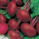 Beet Seeds Crosby S Egyptian 100 Ct Vegetable Non GMO Fast Growing Beet Seeds Crosby S Egyptian 100 Ct Vegetable Non GMO Fast Growing