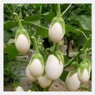 White Egg Eggplant Seeds 50 Vegetable Solanum Melongena Non GMO Fast Growing White Egg Eggplant Seeds 50 Vegetable Solanum Melongena Non GMO Fast Growing
