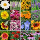 1 8G Or Approx 1400 Seeds All Perennial Wildflower Mix 19 Flower Varieties  Fast Growing