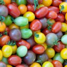 50 Seeds Rainbow Cherry Tomato Seeds Mix Fast Growing 50 Seeds Rainbow Cherry Tomato Seeds Mix Fast Growing