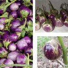 50 Seeds Thai Round Purple Eggplant Non GMO Fast Growing 50 Seeds Thai Round Purple Eggplant Non GMO Fast Growing