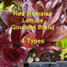 800 Red Romaine Lettuce Seeds Gourmet Salad Blend Fresh Harvest For Garden Fast Growing 800 Red Romaine Lettuce Seeds Gourmet Salad Blend Fresh Harvest For Garden Fast Growing