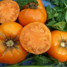 50 Yellow Brandywine Tomato Seeds Fresh Harvest For Gardens Fast Growing