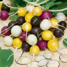 100 Halloween Blend Radish Seeds Fresh Harvest For Gardens Fast Growing 100 Halloween Blend Radish Seeds Fresh Harvest For Gardens Fast Growing
