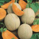 50 Hearts Of Gold Melon Seeds Fresh Harvest For Gardens Fast Growing 50 Hearts Of Gold Melon Seeds Fresh Harvest For Gardens Fast Growing