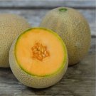 50 Planters Jumbo Melon Seeds Non GMO Fresh Harvest For Gardens Fast Growing 50 Planters Jumbo Melon Seeds Non GMO Fresh Harvest For Gardens Fast Growing