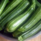 20 Cocozelle Summer Squash Seeds Fresh Harvest For Gardens Fast Growing 20 Cocozelle Summer Squash Seeds Fresh Harvest For Gardens Fast Growing