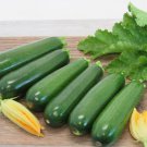 20 Dark Green Zucchini Summer Squash Seeds Fresh Harvest For Gardens Fast Growing 20 Dark Green Zucchini Summer Squash Seeds Fresh Harvest For Gardens Fast Growing