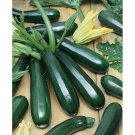 20 Black Beauty Zucchini Summer Squash Seeds Fresh Harvest For Gardens Fast Growing 20 Black Beauty Zucchini Summer Squash Seeds Fresh Harvest For Gardens Fast Growing