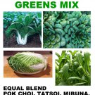 250 Asain Greens Mix Equal Parts Blend Fresh Harvest For Gardens Fast Growing 250 Asain Greens Mix Equal Parts Blend Fresh Harvest For Gardens Fast Growing