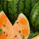 25 Tendersweet Orange Watermelon Seeds Fresh Harvest For Gardens Fast Growing