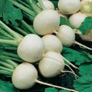 700 White Egg Turnip Seeds Fresh Harvest For Gardens Fast Growing