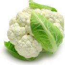 250 Self Blanching Cauliflower Seeds Fresh Harvest For Gardens Fast Growing 250 Self Blanching Cauliflower Seeds Fresh Harvest For Gardens Fast Growing