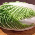 500 Chinese Michihili Cabbage Seeds Fresh Harvest For Gardens Fast Growing 500 Chinese Michihili Cabbage Seeds Fresh Harvest For Gardens Fast Growing