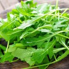 400 Arugula Rocket Seeds Fresh Harvest For Gardens Fast Growing 400 Arugula Rocket Seeds Fresh Harvest For Gardens Fast Growing