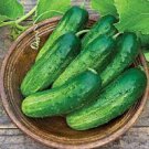 40 Pickling Smr58 Cucumber Seeds Fresh Harvest For Gardens Fast Growing 40 Pickling Smr58 Cucumber Seeds Fresh Harvest For Gardens Fast Growing