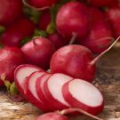 100 Early Scarlet Globe Radish Seeds Fresh Harvest For Gardens Fast Growing 100 Early Scarlet Globe Radish Seeds Fresh Harvest For Gardens Fast Growing