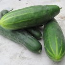 50 Marketmore 76 Cucumber Seeds Fresh Harvest For Gardens Fast Growing