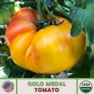 10 Gold Medal Tomato Seeds Organic Heirloom Non GMO Genuine Fast Growing