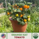 10 Orange Hat Micro Dwarf Tomato Seeds Organic Open Pollinated Non GMO Fast Growing 10 Orange Hat Micro Dwarf Tomato Seeds Organic Open Pollinated Non GMO Fast Growing