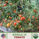 10 Kozula 14 Multiflora Tomato Seeds Organic Open Pollinated Non GMO Fast Growing 10 Kozula 14 Multiflora Tomato Seeds Organic Open Pollinated Non GMO Fast Growing