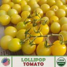 10 Lollipop Tomato Seeds Organic Open Pollinated Non GMO Genuine Fast Growing 10 Lollipop Tomato Seeds Organic Open Pollinated Non GMO Genuine Fast Growing