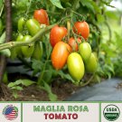 10 Maglia Rosa Tomato Seeds Organic Open Pollinated Non GMO Genuine Fast Growing 10 Maglia Rosa Tomato Seeds Organic Open Pollinated Non GMO Genuine Fast Growing
