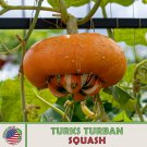 10 American Turks Turban Winter Squash Seeds Heirloom Non GMO Genuine Fast Growing 10 American Turks Turban Winter Squash Seeds Heirloom Non GMO Genuine Fast Growing