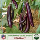 20 Organic Hawaiian Poamoho Dark Long Eggplant Seeds Disease Resistant Non GMO Fast Growing 20 Organic Hawaiian Poamoho Dark Long Eggplant Seeds Disease Resistant Non GMO Fast Growing