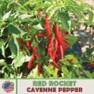 10 Organic Red Rocket Cayenne Pepper Seeds Heirloom Non GMO Genuine Fast Growing 10 Organic Red Rocket Cayenne Pepper Seeds Heirloom Non GMO Genuine Fast Growing