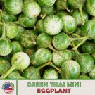 20 Green Thai Mini Eggplant Seeds Solanum Macrocarpon Non GMO Genuine Fast Growing