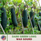10 Dark Green Long Wax Gourd Seeds Heirloom Non GMO Genuine Fast Growing 10 Dark Green Long Wax Gourd Seeds Heirloom Non GMO Genuine Fast Growing