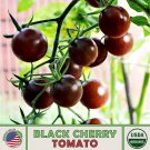 10 Black Cherry Tomato Seeds Organic Open Pollinated Non GMO Fast Growing 10 Black Cherry Tomato Seeds Organic Open Pollinated Non GMO Fast Growing