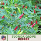 25 Florida Wild Grove Pepper Seeds Organic Super Hot Non GMO Genuine Fast Growing
