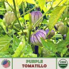 20 Purple Tomatillo Seeds Organic Open Pollinated Non GMO Genuine Fast Growing 20 Purple Tomatillo Seeds Organic Open Pollinated Non GMO Genuine Fast Growing
